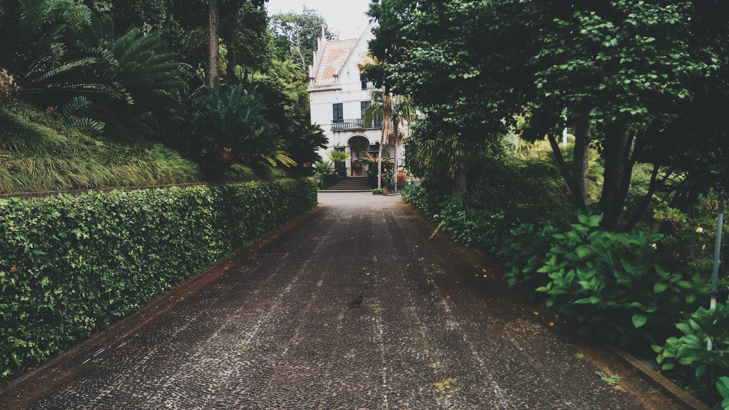 Landscaping 101: Beginners Guide | Terracare Landscaping