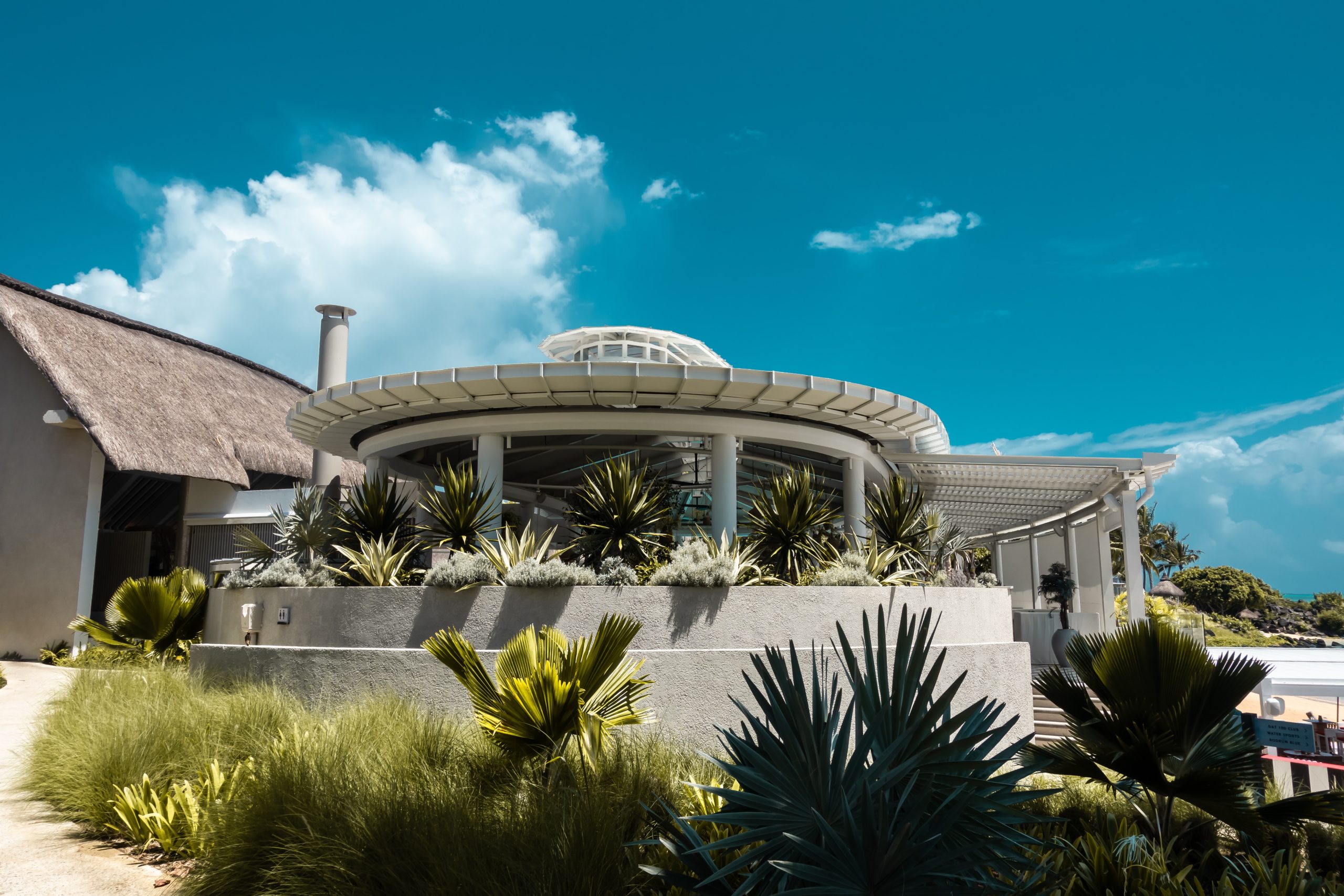 What Is DG in Landscaping? | Terracare Landscaping