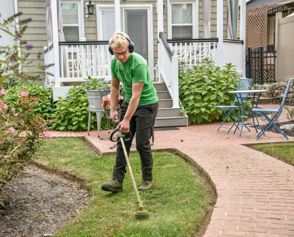 Affordable Landscaping: Getting the Best Value Without Cutting Corners ...