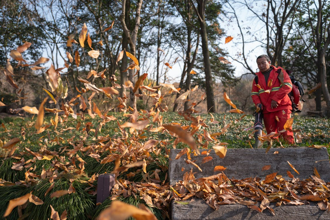 Worker operating a backpack leaf blower clearing a front yard during fall cleanup
