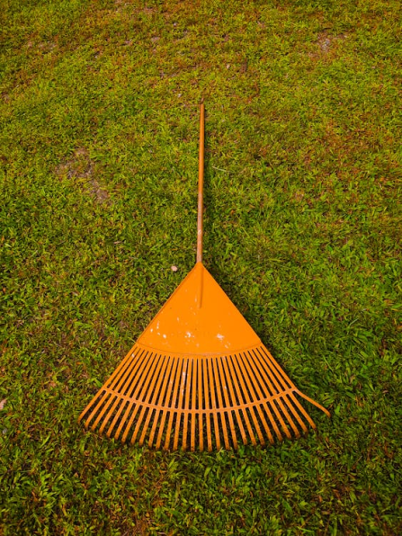 Garden rake resting on a lawn, representing seasonal lawn care practices that improve soil conditions and prepare turf for nutrient uptake