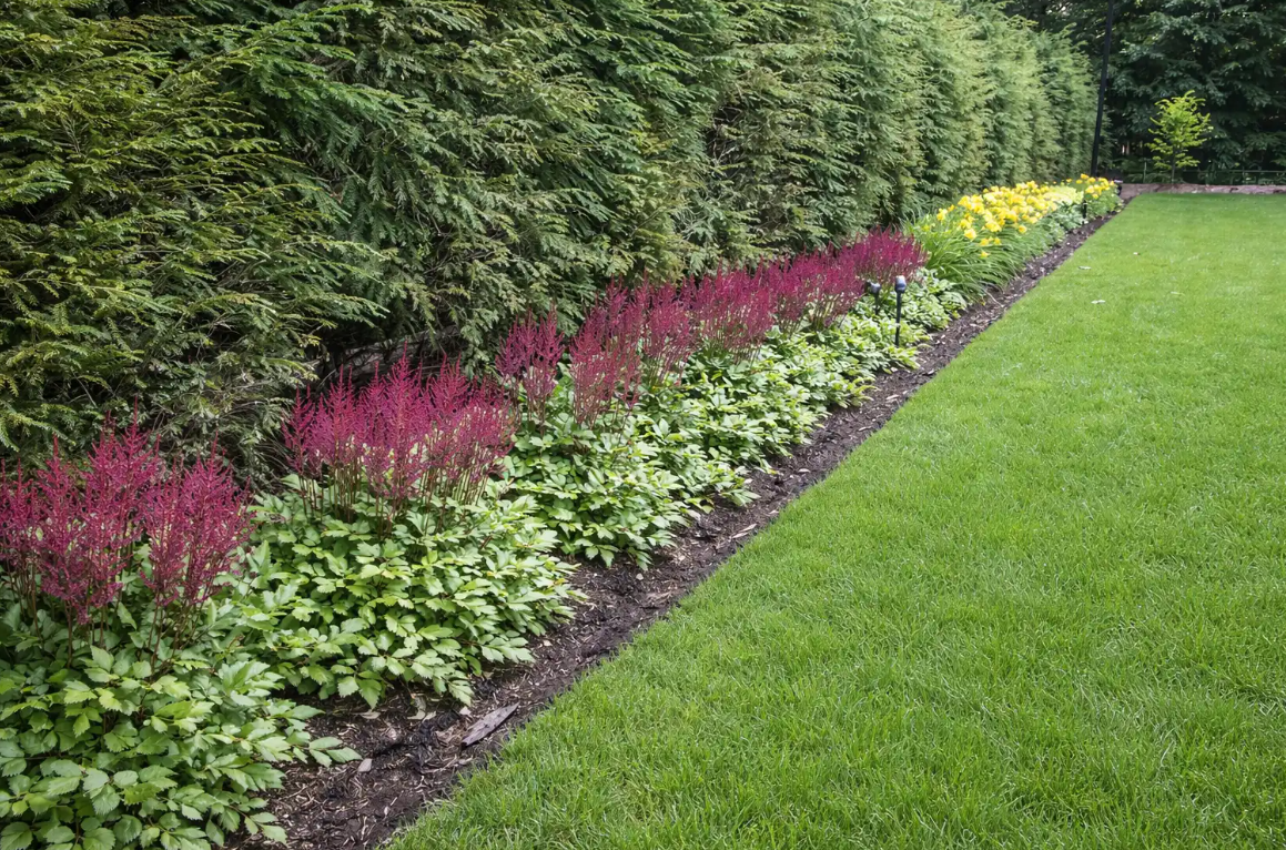 Landscaped garden featuring layered plantings, flowering perennials, and evergreen screening that create depth, texture, and visual interest around a manicured lawn