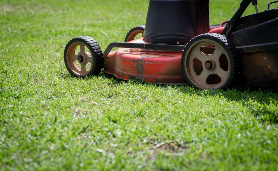Lawn mower cutting a healthy green lawn as part of a regular turf maintenance program that supports strong root development and overall lawn health