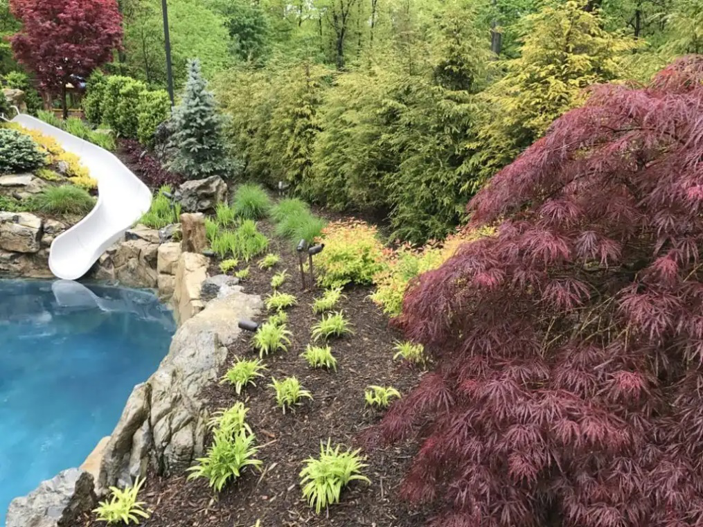 An image of a slide leading to a pool