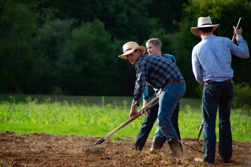 An image of three men working in a lawn