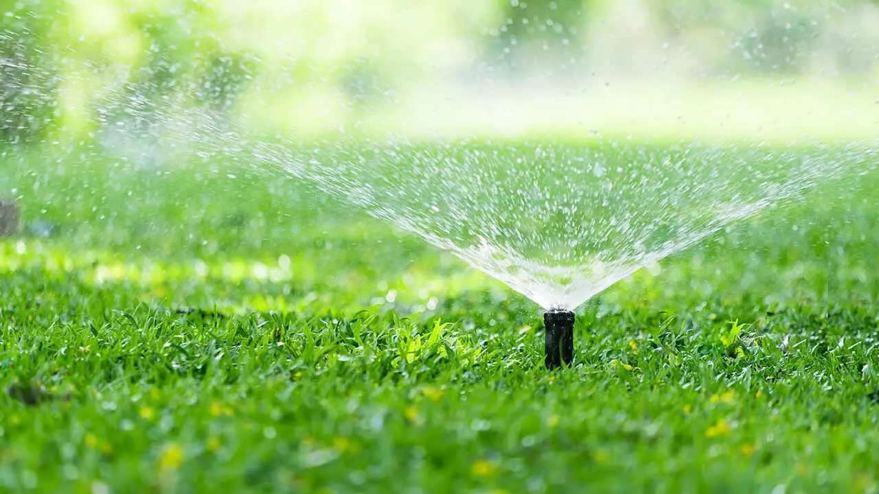 Landscape irrigation system watering a lawn and planted areas