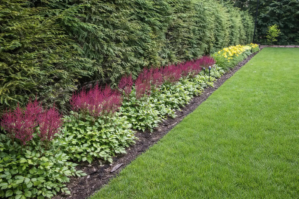 Terracare Landscaping work showing planting and landscape design around an outdoor property